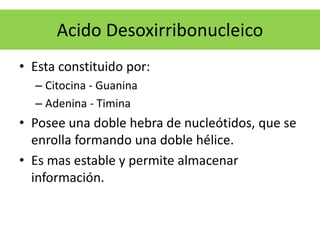Acido Desoxirribonucleico
• Esta constituido por:
– Citocina - Guanina
– Adenina - Timina
• Posee una doble hebra de nucleótidos, que se
enrolla formando una doble hélice.
• Es mas estable y permite almacenar
información.
 