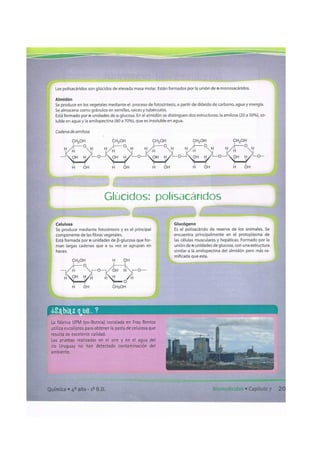 Biomoleculas