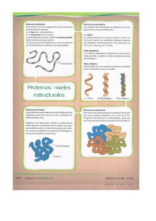 Biomoleculas