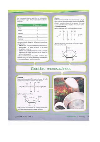 Biomoleculas