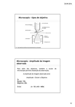 20-09-2016
12
Microscopia – tipos de objetiva
Fonte: http://www.blog.mcientifica.com.br/componentes-de-um-microscopio/
Microscopia – Amplitude da imagem
observada
Para além das objetivas, também a ocular do
microscópio permite ampliação da observação.
A amplitude da imagem observada será:
Amplitude = Ocular x Objetiva
Se
Ocular: 10x
Objetiva: 40x
Então A = 10 x 40 = 400x
 