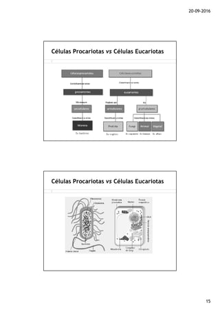20-09-2016
15
Células Procariotas vs Células Eucariotas
Células Procariotas vs Células Eucariotas
 