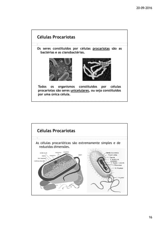 20-09-2016
16
Os seres constituídos por células procariotas são as
bactérias e as cianobactérias.
Células Procariotas
Todos os organismos constituídos por células
procariotas são seres unicelulares, ou seja constituídos
por uma única célula.
As células procarióticas são extremamente simples e de
reduzidas dimensões.
Células Procariotas
 