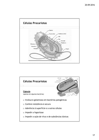 20-09-2016
17
Células Procariotas
Células Procariotas
Cápsula
(apenas em algumas bactérias)
Invólucro gelatinoso em bactérias patogénicas
Confere resistência à secura
Aderência à superfície e a outras células
Impedir a fagocitose
Impedir a ação de vírus e de substâncias tóxicas
 