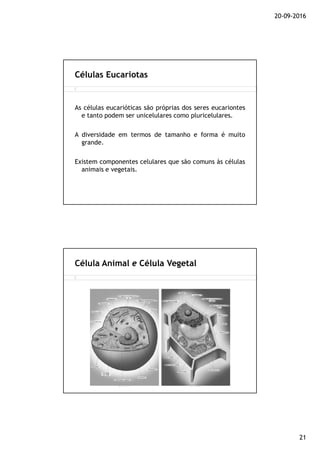 20-09-2016
21
As células eucarióticas são próprias dos seres eucariontes
e tanto podem ser unicelulares como pluricelulares.
A diversidade em termos de tamanho e forma é muito
grande.
Existem componentes celulares que são comuns às células
animais e vegetais.
Células Eucariotas
Célula Animal e Célula Vegetal
 