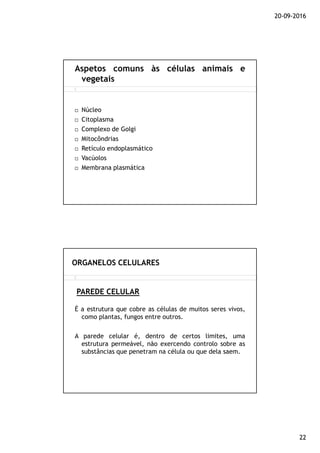20-09-2016
22
Núcleo
Citoplasma
Complexo de Golgi
Mitocôndrias
Retículo endoplasmático
Vacúolos
Membrana plasmática
Aspetos comuns às células animais e
vegetais
É a estrutura que cobre as células de muitos seres vivos,
como plantas, fungos entre outros.
A parede celular é, dentro de certos limites, uma
estrutura permeável, não exercendo controlo sobre as
substâncias que penetram na célula ou que dela saem.
PAREDE CELULAR
ORGANELOS CELULARES
 