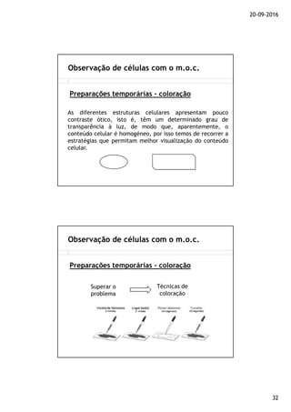 20-09-2016
32
Observação de células com o m.o.c.
Preparações temporárias - coloração
As diferentes estruturas celulares apresentam pouco
contraste ótico, isto é, têm um determinado grau de
transparência à luz, de modo que, aparentemente, o
conteúdo celular é homogéneo, por isso temos de recorrer a
estratégias que permitam melhor visualização do conteúdo
celular.
Observação de células com o m.o.c.
Preparações temporárias - coloração
Superar o
problema
Técnicas de
coloração
 
