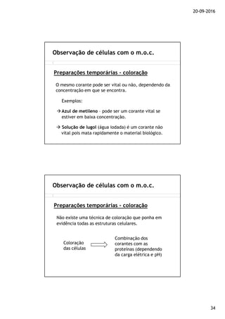 20-09-2016
34
Observação de células com o m.o.c.
Preparações temporárias - coloração
O mesmo corante pode ser vital ou não, dependendo da
concentração em que se encontra.
Exemplos:
Azul de metileno – pode ser um corante vital se
estiver em baixa concentração.
Solução de lugol (água iodada) é um corante não
vital pois mata rapidamente o material biológico.
Observação de células com o m.o.c.
Preparações temporárias - coloração
Não existe uma técnica de coloração que ponha em
evidência todas as estruturas celulares.
Coloração
das células
Combinação dos
corantes com as
proteínas (dependendo
da carga elétrica e pH)
 