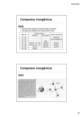 20-09-2016
40
ÁGUA
Compostos inorgânicos
Constituinte químico vital de todas as células
Faz parte do habitat de muitos seres vivos
Água (%)
Células animais
Células de plantas
Diversos Ser humano
0 - 20 Sementes
21 – 26 Frutos oleaginosos
61 – 70 Rins
71 – 76 Estrela – do - mar Pulmões Batata
77 – 80 Anémona – do – mar Cérebro Cenoura
81 – 85 Caracol Músculos Luzerna
86 - 98 Medusa
ÁGUA
Compostos inorgânicos
 