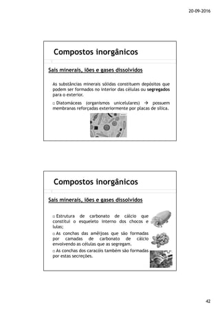 20-09-2016
42
As substâncias minerais sólidas constituem depósitos que
podem ser formados no interior das células ou segregados
para o exterior.
Compostos inorgânicos
Sais minerais, iões e gases dissolvidos
Diatomáceas (organismos unicelulares) possuem
membranas reforçadas exteriormente por placas de sílica.
Compostos inorgânicos
Sais minerais, iões e gases dissolvidos
Estrutura de carbonato de cálcio que
constitui o esqueleto interno dos chocos e
lulas;
As conchas das amêijoas que são formadas
por camadas de carbonato de cálcio
envolvendo as células que as segregam.
As conchas dos caracóis também são formadas
por estas secreções.
 