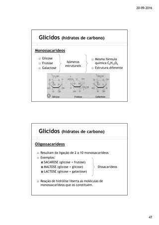 20-09-2016
47
Glicose
Frutose
Galactose
Glícidos (hidratos de carbono)
Monossacarídeos
Mesma fórmula
química C6H12O6
Estrutura diferente
Isómeros
estruturais
Resultam da ligação de 2 a 10 monossacarídeos
Exemplos:
SACAROSE (glicose + frutose)
MALTOSE (glicose + glicose)
LACTOSE (glicose + galactose)
Reação de hidrólise liberta as moléculas de
monossacarídeos que os constituem.
Glícidos (hidratos de carbono)
Oligossacarídeos
Dissacarídeos
 
