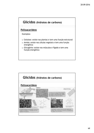 20-09-2016
49
Exemplos:
Celulose: existe nas plantas e tem uma função estrutural
Amido: existe nas células vegetais e tem uma função
energética
Glicogénio: existe nos músculos e fígado e tem uma
função energética
Glícidos (hidratos de carbono)
Polissacarídeos
Glícidos (hidratos de carbono)
Polissacarídeos
 