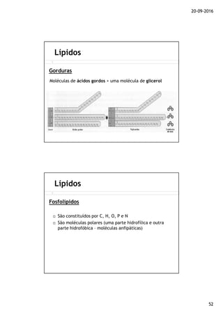 20-09-2016
52
Moléculas de ácidos gordos + uma molécula de glicerol
Lípidos
Gorduras
São constituídos por C, H, O, P e N
São moléculas polares (uma parte hidrofílica e outra
parte hidrofóbica – moléculas anfipáticas)
Lípidos
Fosfolípidos
 