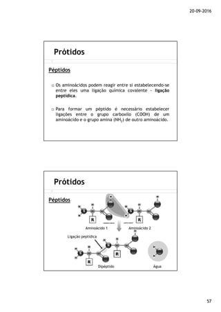 20-09-2016
57
Os aminoácidos podem reagir entre si estabelecendo-se
entre eles uma ligação química covalente - ligação
peptídica.
Para formar um péptido é necessário estabelecer
ligações entre o grupo carboxilo (COOH) de um
aminoácido e o grupo amina (NH2) de outro aminoácido.
Prótidos
Péptidos
Prótidos
Péptidos
Ligação peptídica
Dipéptido Água
Aminoácido 1 Aminoácido 2
 