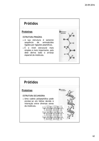 20-09-2016
62
ESTRUTURAESTRUTURA PRIMÁRIAPRIMÁRIA
A sua estrutura é somente
sequência de aminoácidos
ligados por ligações peptídicas.
É o nível estrutural mais
simples e mais importante, pois
dele deriva todo o arranjo
espacial da molécula.
Prótidos
Proteínas
ESTRUTURAESTRUTURA SECUNDÁRIASECUNDÁRIA
Uma cadeia polipeptídica pode
enrolar-se em hélice devido à
interação entre diversas zonas
da molécula.
Prótidos
Proteínas
 