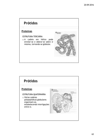20-09-2016
63
ESTRUTURAESTRUTURA TERCIÁRIATERCIÁRIA
A cadeia em hélice pode
enrolar-se e dobrar-se sobre si
mesma, tornando-se globular.
Prótidos
Proteínas
ESTRUTURAESTRUTURA QUATERNÁRIAQUATERNÁRIA
Várias cadeias
polipeptídicas globulares
organizam-se,
estabelecendo interligações
entre si.
Prótidos
Proteínas
 