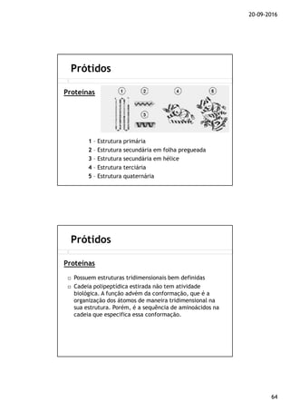 20-09-2016
64
1 – Estrutura primária
2 – Estrutura secundária em folha pregueada
3 – Estrutura secundária em hélice
4 – Estrutura terciária
5 – Estrutura quaternária
Prótidos
Proteínas
Possuem estruturas tridimensionais bem definidas
Cadeia polipeptídica estirada não tem atividade
biológica. A função advém da conformação, que é a
organização dos átomos de maneira tridimensional na
sua estrutura. Porém, é a sequência de aminoácidos na
cadeia que especifica essa conformação.
Prótidos
Proteínas
 
