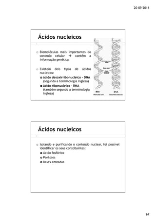 20-09-2016
67
Biomoléculas mais importantes do
controlo celular contêm a
informação genética
Existem dois tipos de ácidos
nucleicos:
ácido desoxirribonucleico – DNA
(segundo a terminologia inglesa)
ácido ribonucleico – RNA
(também segundo a terminologia
inglesa)
Ácidos nucleicos
Isolando e purificando o conteúdo nuclear, foi possível
identificar os seus constituintes:
Ácido fosfórico
Pentoses
Bases azotadas
Ácidos nucleicos
 