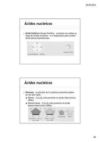 20-09-2016
68
Ácido fosfórico (Grupo Fosfato) – presente em ambos os
tipos de ácidos nucleicos - é o responsável pelo caráter
ácido destas biomoléculas.
Ácidos nucleicos
Pentoses – os glícidos de 5 carbonos presentes podem
ser de dois tipos:
Ribose – C5H10O5 está presente no ácido ribonucleico
(RNA);
Desoxirribose – C5H10O4 está presente no ácido
desoxirribonucleico (DNA).
Ácidos nucleicos
 