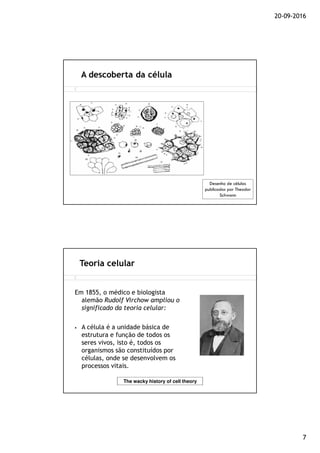 20-09-2016
7
A descoberta da célula
Desenho de células
publicados por Theodor
Schwann
Em 1855, o médico e biologista
alemão Rudolf Virchow ampliou o
significado da teoria celular:
A célula é a unidade básica de
estrutura e função de todos os
seres vivos, isto é, todos os
organismos são constituídos por
células, onde se desenvolvem os
processos vitais.
Teoria celular
The wacky history of cell theory
 