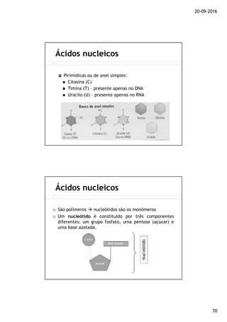 20-09-2016
70
Pirimídicas ou de anel simples:
Citosina (C)
Timina (T) – presente apenas no DNA
Uracilo (U) – presente apenas no RNA
Ácidos nucleicos
São polímeros nucleótidos são os monómeros
Um nucleótido é constituído por três componentes
diferentes: um grupo fosfato, uma pentose (açúcar) e
uma base azotada.
Ácidos nucleicos
 
