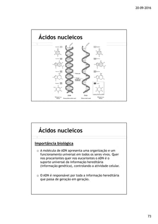 20-09-2016
73
Ácidos nucleicos
A molécula de ADN apresenta uma organização e um
funcionamento universal em todos os seres vivos. Quer
nos procariontes quer nos eucariontes o ADN é o
suporte universal da informação hereditária
(informação genética), controlando a atividade celular.
O ADN é responsável por toda a informação hereditária
que passa de geração em geração.
Ácidos nucleicos
Importância biológica
 