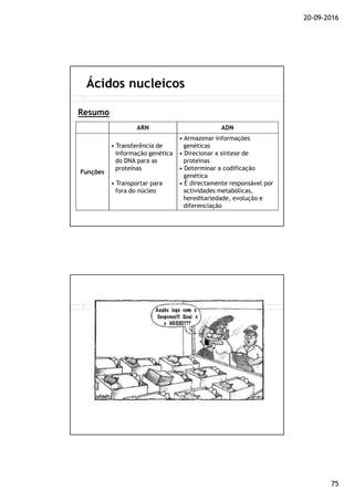 20-09-2016
75
Ácidos nucleicos
Resumo
ARN ADN
Funções
• Transferência de
informação genética
do DNA para as
proteínas
• Transportar para
fora do núcleo
• Armazenar informações
genéticas
• Direcionar a síntese de
proteínas
• Determinar a codificação
genética
• É directamente responsável por
actividades metabólicas,
hereditariedade, evolução e
diferenciação
 