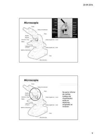 20-09-2016
9
Microscopia
Na parte inferior
do canhão
(cabeça de
visualização)
estão as
objetivas,
acopladas ao
revólver.
Microscopia
 