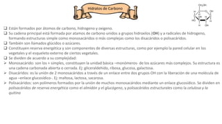 Hidratos de Carbono
 Están formados por átomos de carbono, hidrogeno y oxigeno.
 Su cadena principal está formada por atamos de carbono unidos a grupos hidroxilos (OH) y a radicales de hidrogeno,
formando estructuras simple como monosacáridos o más complejas como los disacáridos o polisacáridos.
 También son llamados glúcidos o azúcares.
 Constituyen reserva energética y son componentes de diversas estructuras, como por ejemplo la pared celular en los
vegetales y el esqueleto externo de ciertos vegetales.
 Se dividen de acuerdo a su complejidad:
 Monosacárido: son los + simples, constituyen la unidad básica –monómeros- de los azúcares más complejos. Su estructura es
una cadena carbonada abierta o cerrada. Ej: gliceraldehido, ribosa, glucosa, galactosa.
 Disacáridos: es la unión de 2 monosacáridos a través de un enlace entre dos grupos OH con la liberación de una molécula de
agua –enlace glucosídico-. Ej: maltosa, lactosa, sacarosa.
 Polisacáridos: son polímeros formados por la unión de muchos monosacáridos mediante un enlace glucosídico. Se dividen en
polisacáridos de reserva energética como el almidón y el glucógeno, y polisacáridos estructurales como la celulosa y la
quitina
 