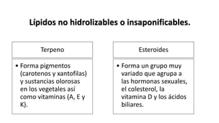 Esteroides
• Forma un grupo muy
variado que agrupa a
las hormonas sexuales,
el colesterol, la
vitamina D y los ácidos
biliares.
Terpeno
• Forma pigmentos
(carotenos y xantofilas)
y sustancias olorosas
en los vegetales así
como vitaminas (A, E y
K).
Lípidos no hidrolizables o insaponificables.
 