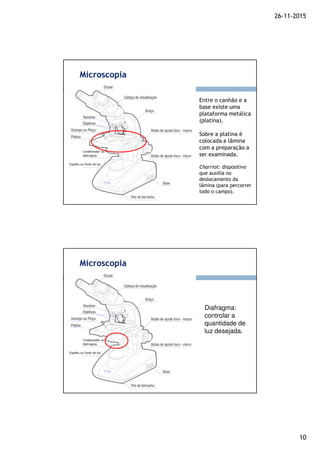 26-11-2015
10
Entre o canhão e a
base existe uma
plataforma metálica
(platina).
Sobre a platina é
colocada a lâmina
com a preparação a
ser examinada.
Charriot: dispositivo
que auxilia no
deslocamento da
lâmina (para percorrer
todo o campo).
Microscopia
Diafragma:
controlar a
quantidade de
luz desejada.
Microscopia
 
