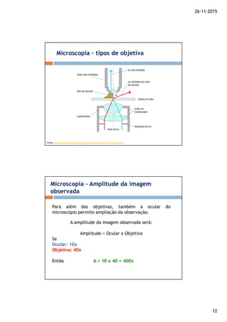 26-11-2015
12
Microscopia – tipos de objetiva
Fonte: http://www.blog.mcientifica.com.br/componentes-de-um-microscopio/
Microscopia – Amplitude da imagem
observada
Para além das objetivas, também a ocular do
microscópio permite ampliação da observação.
A amplitude da imagem observada será:
Amplitude = Ocular x Objetiva
Se
Ocular: 10x
Objetiva: 40x
Então A = 10 x 40 = 400x
 