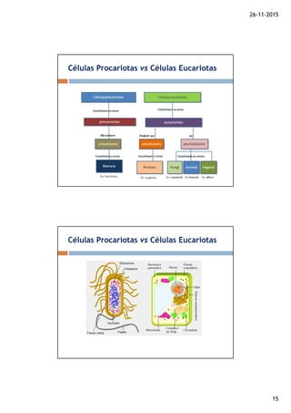 26-11-2015
15
Células Procariotas vs Células Eucariotas
Células Procariotas vs Células Eucariotas
 