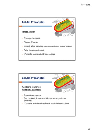 26-11-2015
18
Células Procariotas
Parede celular
Proteção mecânica
Rigidez (Forma)
Impedir a lise osmótica (destruição da célula por “invasão” de água)
Fator de patogenicidade
Proteção contra substâncias tóxicas
Células Procariotas
Membrana celular ou
membrana plasmática
É o invólucro celular
Sua composição química é lipoproteica (gordura +
proteína)
“Controla” a entrada e saída de substâncias na célula
 