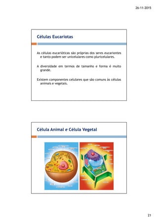 26-11-2015
21
As células eucarióticas são próprias dos seres eucariontes
e tanto podem ser unicelulares como pluricelulares.
A diversidade em termos de tamanho e forma é muito
grande.
Existem componentes celulares que são comuns às células
animais e vegetais.
Células Eucariotas
Célula Animal e Célula Vegetal
 