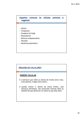 26-11-2015
22
Núcleo
Citoplasma
Complexo de Golgi
Mitocôndrias
Retículo endoplasmático
Vacúolos
Membrana plasmática
Aspetos comuns às células animais e
vegetais
É a estrutura que cobre as células de muitos seres vivos,
como plantas, fungos entre outros.
A parede celular é, dentro de certos limites, uma
estrutura permeável, não exercendo controlo sobre as
substâncias que penetram na célula ou que dela saem.
PAREDE CELULAR
ORGANELOS CELULARES
 