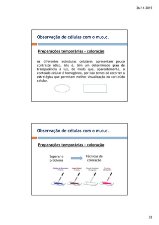 26-11-2015
32
Observação de células com o m.o.c.
Preparações temporárias - coloração
As diferentes estruturas celulares apresentam pouco
contraste ótico, isto é, têm um determinado grau de
transparência à luz, de modo que, aparentemente, o
conteúdo celular é homogéneo, por isso temos de recorrer a
estratégias que permitam melhor visualização do conteúdo
celular.
Observação de células com o m.o.c.
Preparações temporárias - coloração
Superar o
problema
Técnicas de
coloração
 