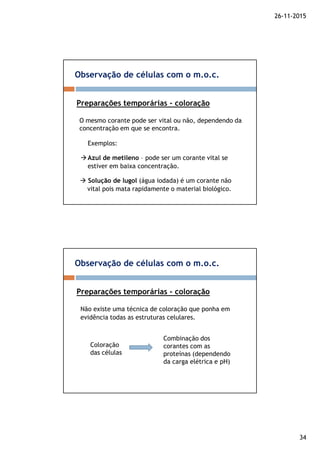 26-11-2015
34
Observação de células com o m.o.c.
Preparações temporárias - coloração
O mesmo corante pode ser vital ou não, dependendo da
concentração em que se encontra.
Exemplos:
Azul de metileno – pode ser um corante vital se
estiver em baixa concentração.
Solução de lugol (água iodada) é um corante não
vital pois mata rapidamente o material biológico.
Observação de células com o m.o.c.
Preparações temporárias - coloração
Não existe uma técnica de coloração que ponha em
evidência todas as estruturas celulares.
Coloração
das células
Combinação dos
corantes com as
proteínas (dependendo
da carga elétrica e pH)
 