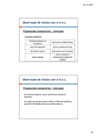 26-11-2015
36
Observação de células com o m.o.c.
Preparações temporárias - coloração
Corantes seletivos
Corantes básicos ou
nucleares
Estruturas evidenciadas
Azul de metileno Cora o núcleo de azul
Vermelho neutro Acumula-se em vacúolos
Água iodada
Cora o núcleo e
amiloplastos (grãos de
amido)
Observação de células com o m.o.c.
Preparações temporárias - coloração
Os corantes básicos coram elementos celulares
basófilos.
As moléculas ácidas como o DNA e o RNA são basófilas,
pois têm afinidade para os corantes básicos.
 