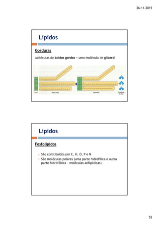 26-11-2015
52
Moléculas de ácidos gordos + uma molécula de glicerol
Lípidos
Gorduras
São constituídos por C, H, O, P e N
São moléculas polares (uma parte hidrofílica e outra
parte hidrofóbica – moléculas anfipáticas)
Lípidos
Fosfolípidos
 