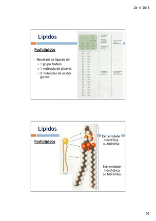 26-11-2015
53
Resultam da ligação de:
1 grupo fosfato
1 molécula de glicerol
2 moléculas de ácidos
gordos
Lípidos
Fosfolípidos
Lípidos
Fosfolípidos
Extremidade
hidrofílica
ou hidrófila
Extremidade
hidrofóbica
ou hidrófoba
 