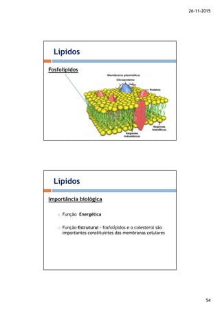 26-11-2015
54
Lípidos
Fosfolípidos
Função Energética
Função Estrutural - fosfolípidos e o colesterol são
importantes constituintes das membranas celulares
Lípidos
Importância biológica
 