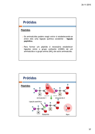 26-11-2015
57
Os aminoácidos podem reagir entre si estabelecendo-se
entre eles uma ligação química covalente - ligação
peptídica.
Para formar um péptido é necessário estabelecer
ligações entre o grupo carboxilo (COOH) de um
aminoácido e o grupo amina (NH2) de outro aminoácido.
Prótidos
Péptidos
Prótidos
Péptidos
Ligação peptídica
Dipéptido Água
Aminoácido 1 Aminoácido 2
 
