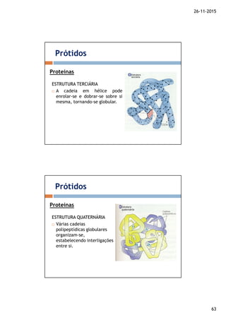 26-11-2015
63
ESTRUTURAESTRUTURA TERCIÁRIATERCIÁRIA
A cadeia em hélice pode
enrolar-se e dobrar-se sobre si
mesma, tornando-se globular.
Prótidos
Proteínas
ESTRUTURAESTRUTURA QUATERNÁRIAQUATERNÁRIA
Várias cadeias
polipeptídicas globulares
organizam-se,
estabelecendo interligações
entre si.
Prótidos
Proteínas
 
