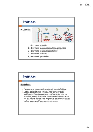 26-11-2015
64
1 – Estrutura primária
2 – Estrutura secundária em folha pregueada
3 – Estrutura secundária em hélice
4 – Estrutura terciária
5 – Estrutura quaternária
Prótidos
Proteínas
Possuem estruturas tridimensionais bem definidas
Cadeia polipeptídica estirada não tem atividade
biológica. A função advém da conformação, que é a
organização dos átomos de maneira tridimensional na
sua estrutura. Porém, é a sequência de aminoácidos na
cadeia que especifica essa conformação.
Prótidos
Proteínas
 