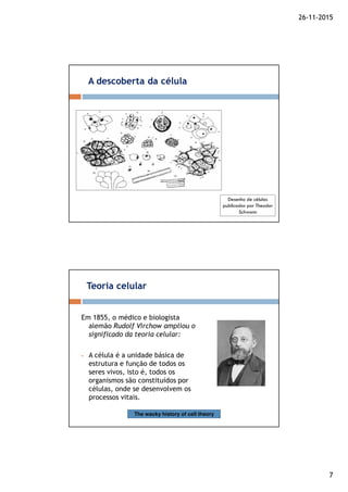 26-11-2015
7
A descoberta da célula
Desenho de células
publicados por Theodor
Schwann
Em 1855, o médico e biologista
alemão Rudolf Virchow ampliou o
significado da teoria celular:
A célula é a unidade básica de
estrutura e função de todos os
seres vivos, isto é, todos os
organismos são constituídos por
células, onde se desenvolvem os
processos vitais.
Teoria celular
The wacky history of cell theory
 