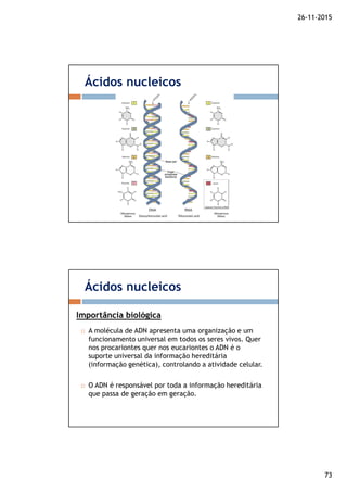 26-11-2015
73
Ácidos nucleicos
A molécula de ADN apresenta uma organização e um
funcionamento universal em todos os seres vivos. Quer
nos procariontes quer nos eucariontes o ADN é o
suporte universal da informação hereditária
(informação genética), controlando a atividade celular.
O ADN é responsável por toda a informação hereditária
que passa de geração em geração.
Ácidos nucleicos
Importância biológica
 