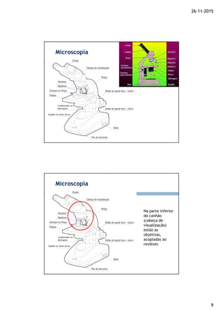 26-11-2015
9
Microscopia
Na parte inferior
do canhão
(cabeça de
visualização)
estão as
objetivas,
acopladas ao
revólver.
Microscopia
 