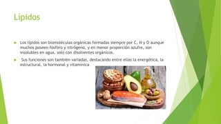 Lípidos
 Los lípidos son biomoléculas orgánicas formadas siempre por C, H y O aunque
muchos poseen fósforo y nitrógeno, y en menor proporción azufre, son
insolubles en agua, solo con disolventes orgánicos.
 Sus funciones son también variadas, destacando entre ellas la energética, la
estructural, la hormonal y vitamínica
 