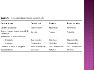 BIOMOLECULAS. E suas estruturas importantes.pptx